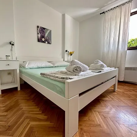 Delfin * Zadar